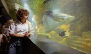Dziewczyna z kręconymi włosami ogląda ryby w akwarium.