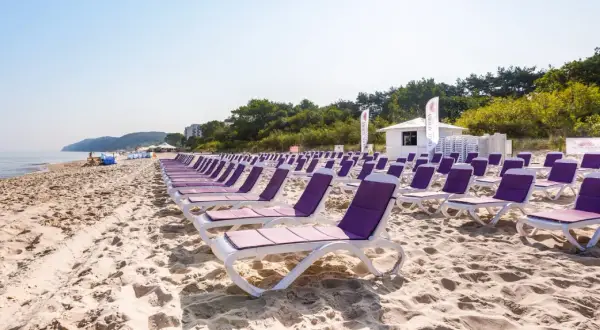 Rzędy fioletowych leżaków na piaszczystej plaży nad morzem.