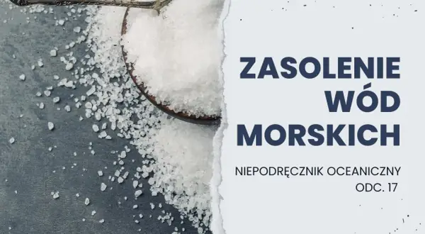 Jakie jest zasolenie Bałtyku? Zaskakujące różnice i przyczyny