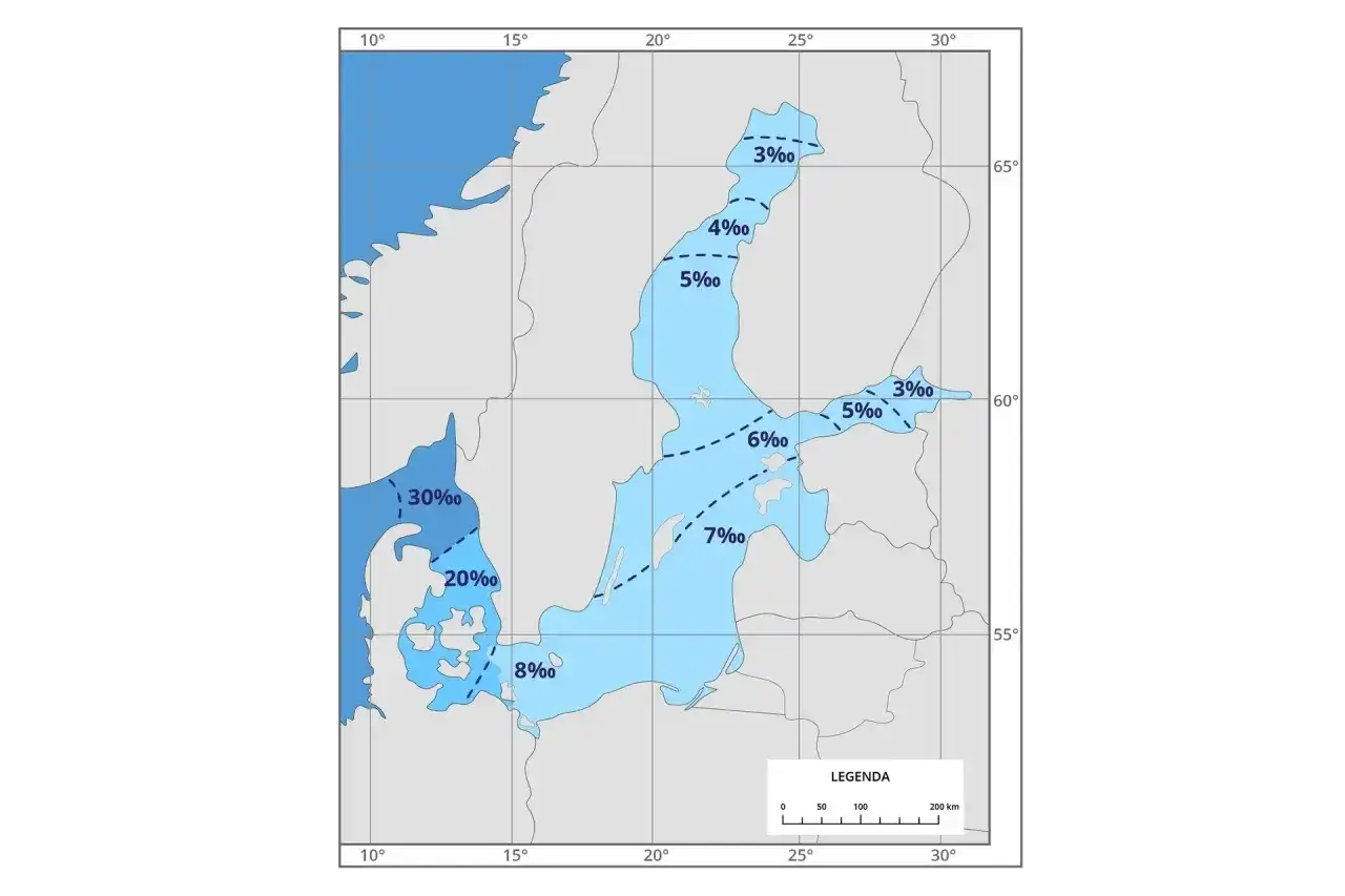 Mapa pokazuje **zasolenie Bałtyku**. Najwyższe zasolenie (30‰) występuje przy cieśninach duńskich, a najniższe (3‰) w Zatoce Botnickiej.