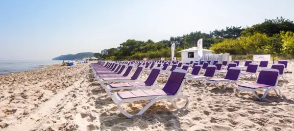 Rzędy fioletowych leżaków na piaszczystej plaży nad morzem.